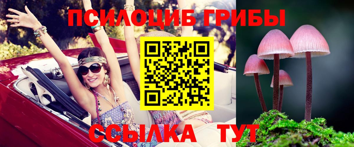 Людиново  Псилоцибиновые грибы MAGIC MUSHROOMS  Вход с VPN 