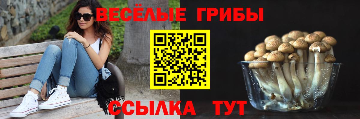 Галлюциногенные грибы ЛСД Людиново
